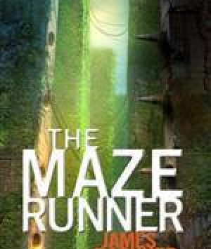 The Maze Runner