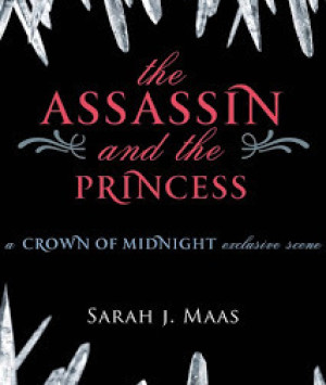 The Assassin and the Princess