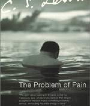 The Problem of Pain