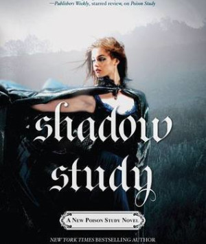 Shadow Study