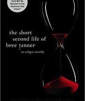 The Short Second Life of Bree Tanner