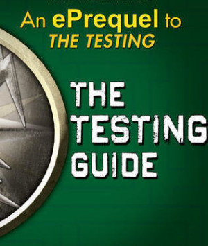 The Testing Guide