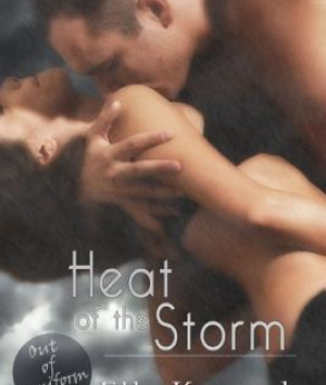 Heat of the Storm