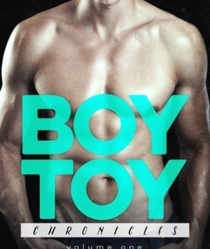 Boy Toy Chronicles