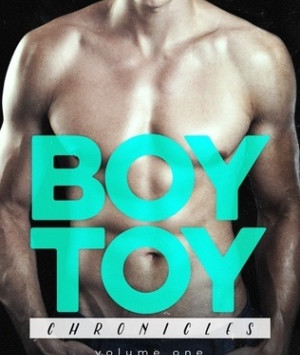 Boy Toy Chronicles