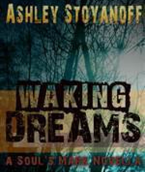 Waking Dreams