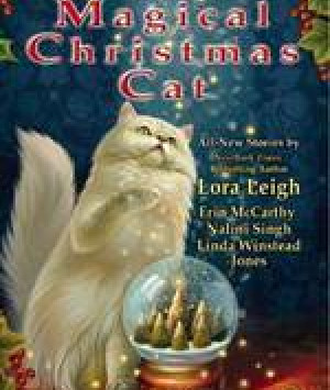 The Magical Christmas Cat