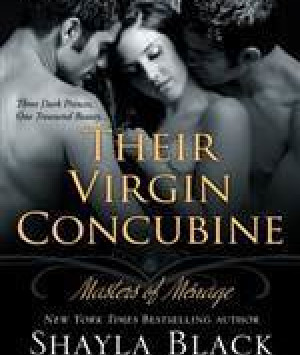 Their Virgin Concubine