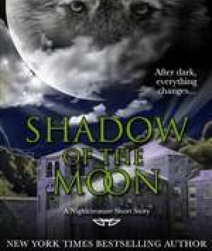 Shadow of the Moon