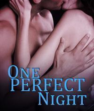 One Perfect Night