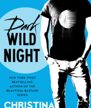 Dark Wild Night